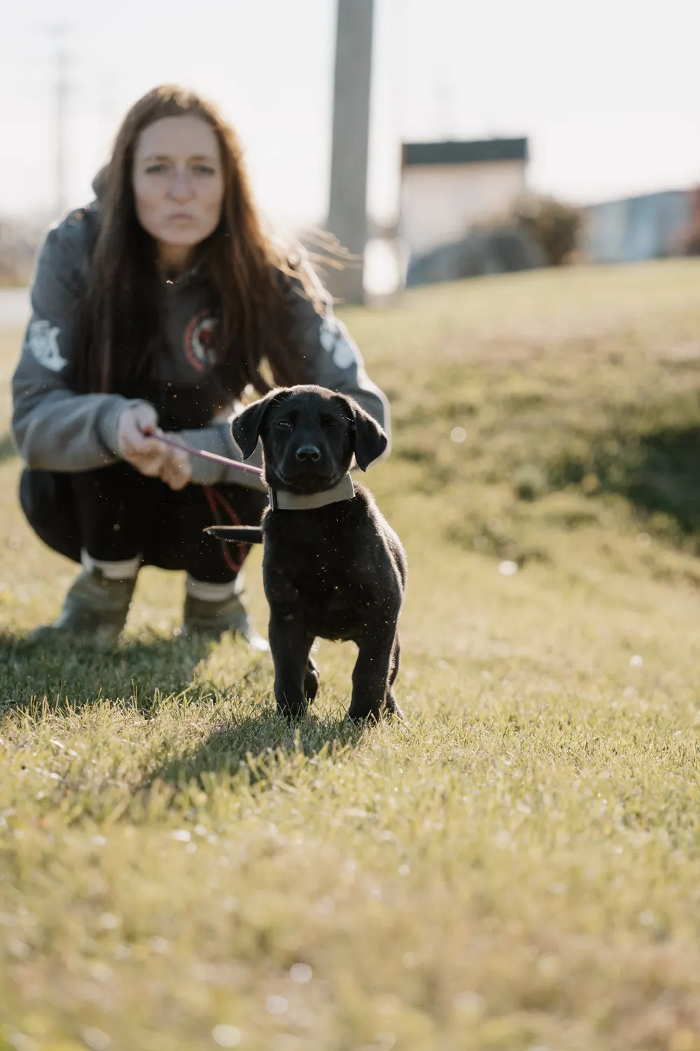 A dog holding place during a training session