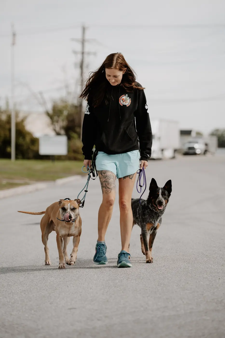 A trainer working a reactive dog through behavior modification